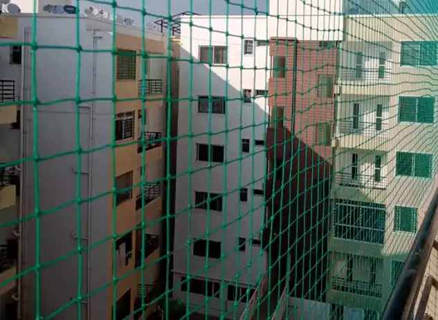 Bird protection net enclosing an open building area